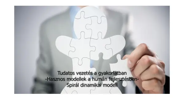 Spirál Dinamika – Térkép a vezetői gondolkodás fejlődéséhez